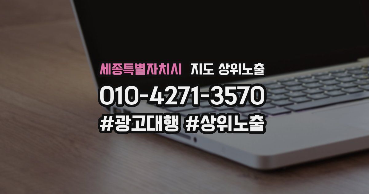 세종특별자치시 지도 상위 노출