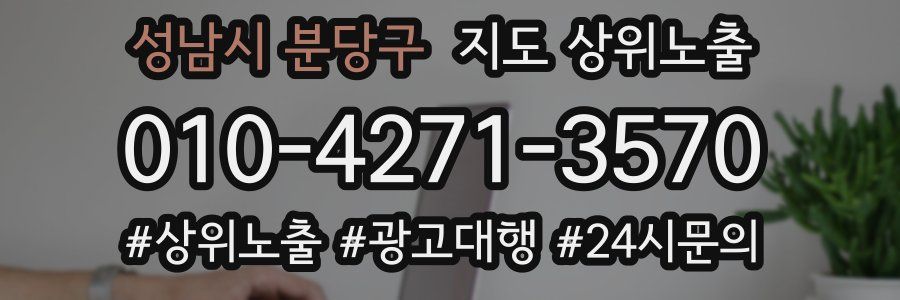성남시 분당구 지도 상위 노출