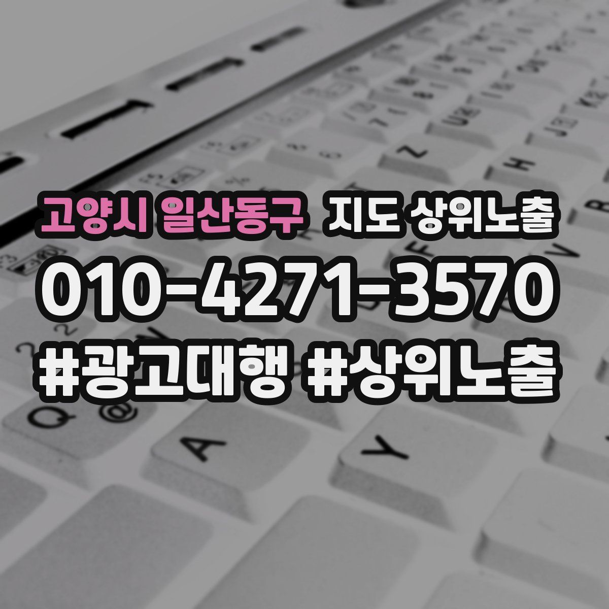고양시 일산동구 지도 상위 노출