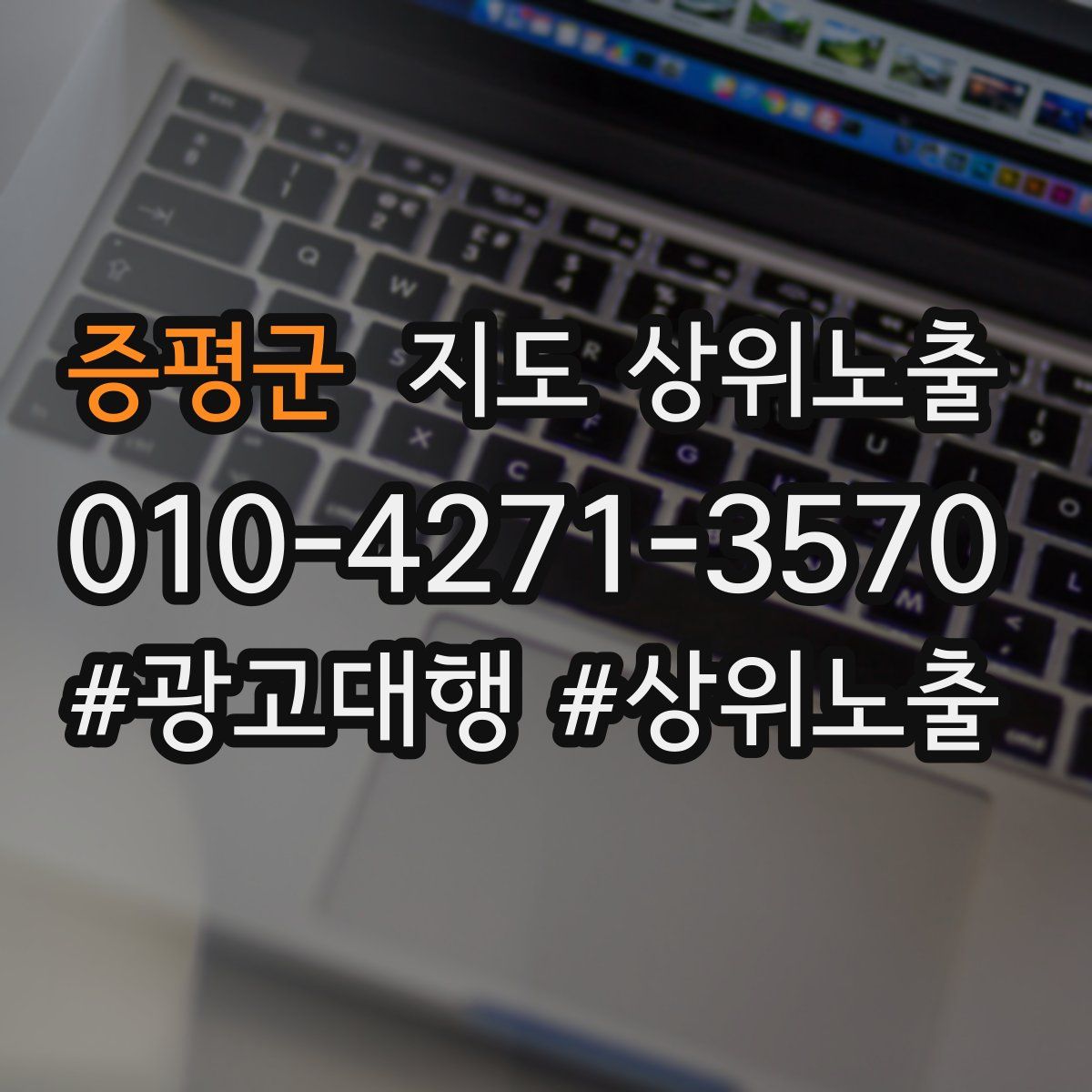 증평군 지도 상위 노출