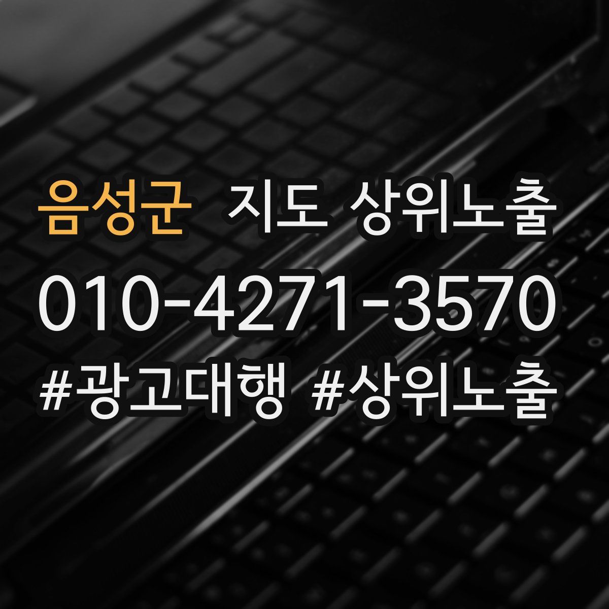 음성군 지도 상위 노출