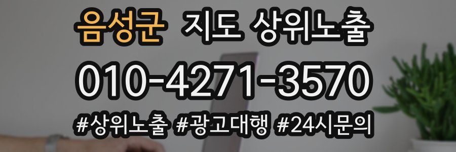 음성군 지도 상위 노출