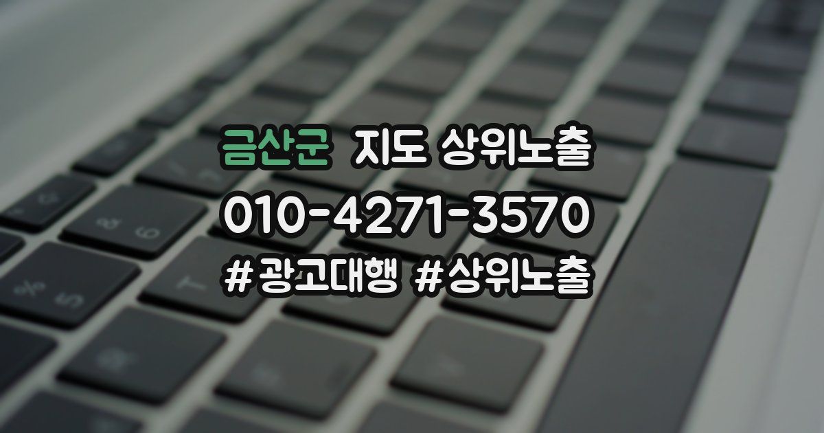 금산군 지도 상위 노출