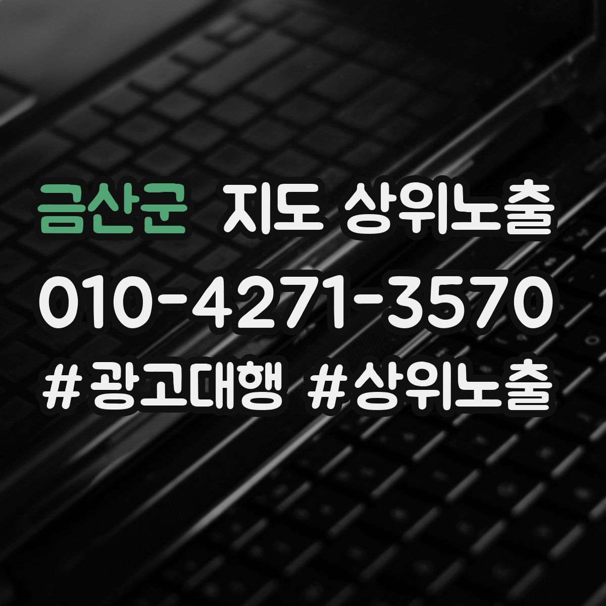 금산군 지도 상위 노출