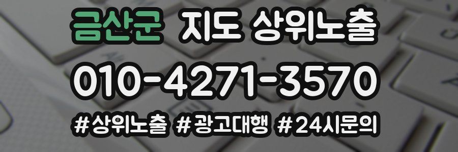 금산군 지도 상위 노출