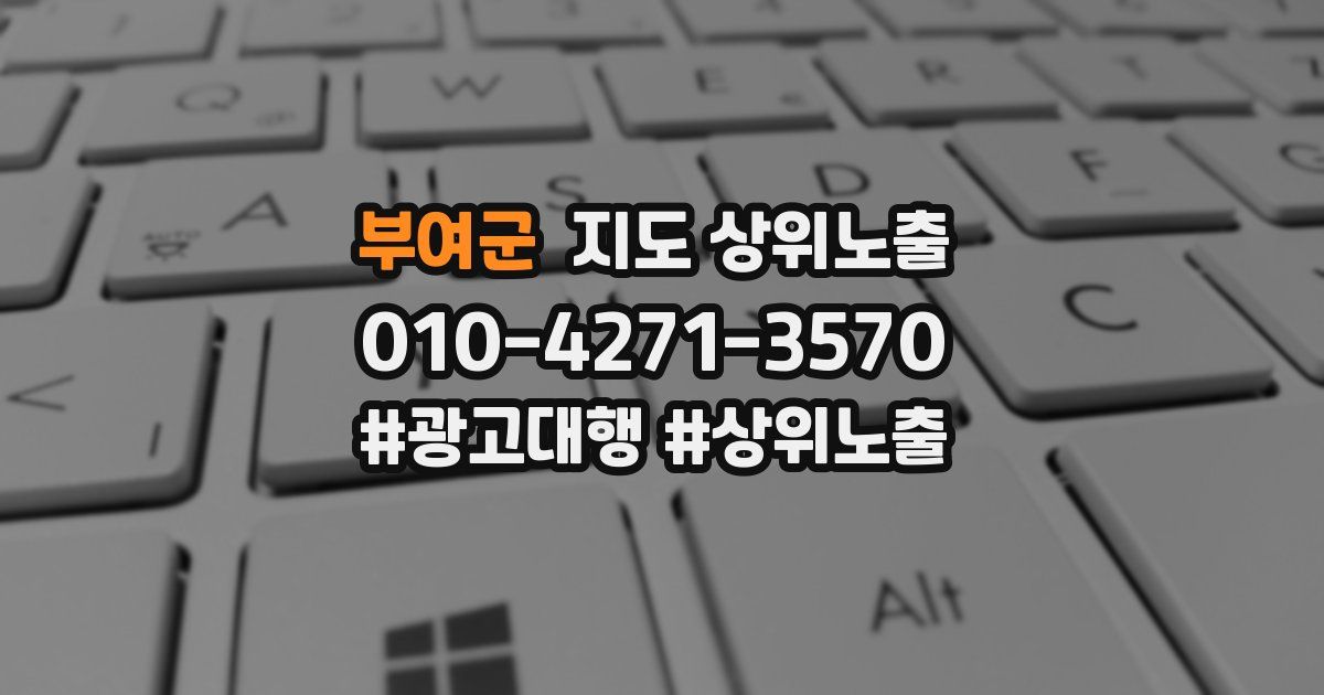부여군 지도 상위 노출