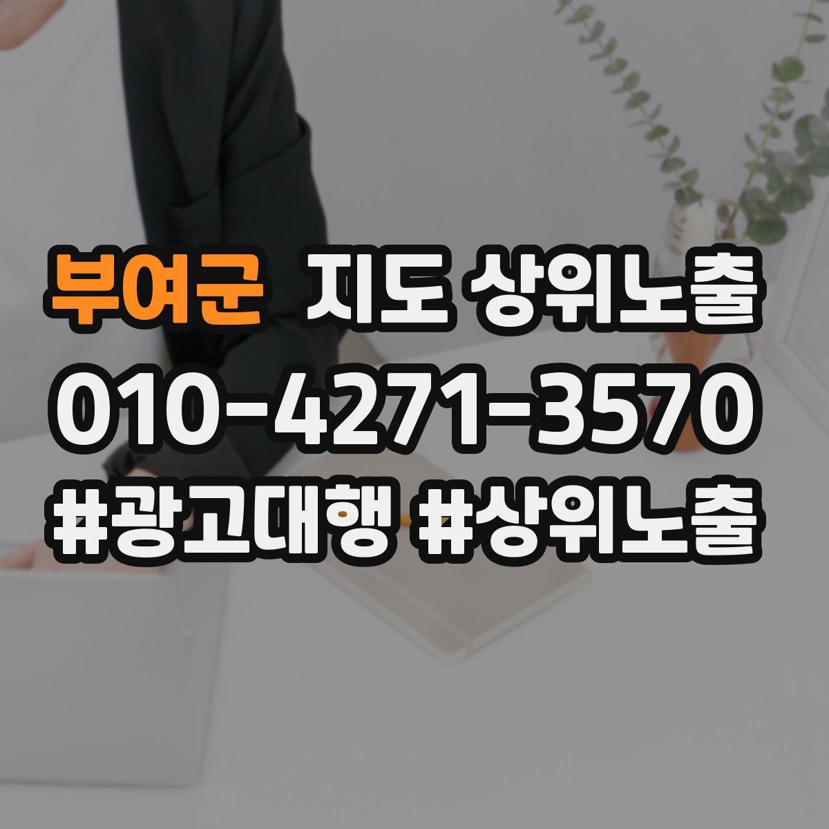 부여군 지도 상위 노출