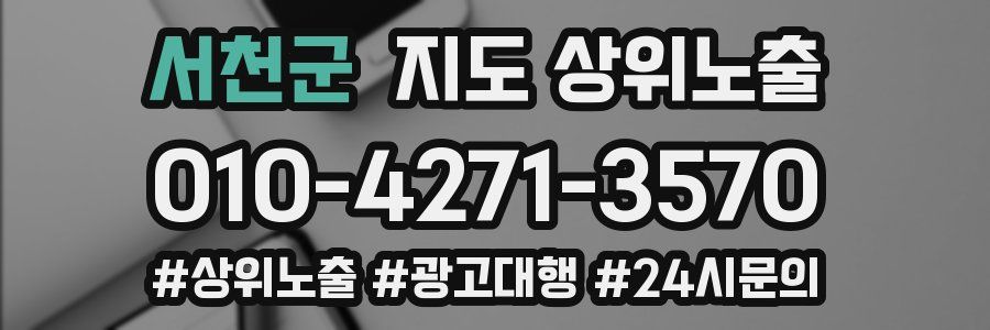 서천군 지도 상위 노출