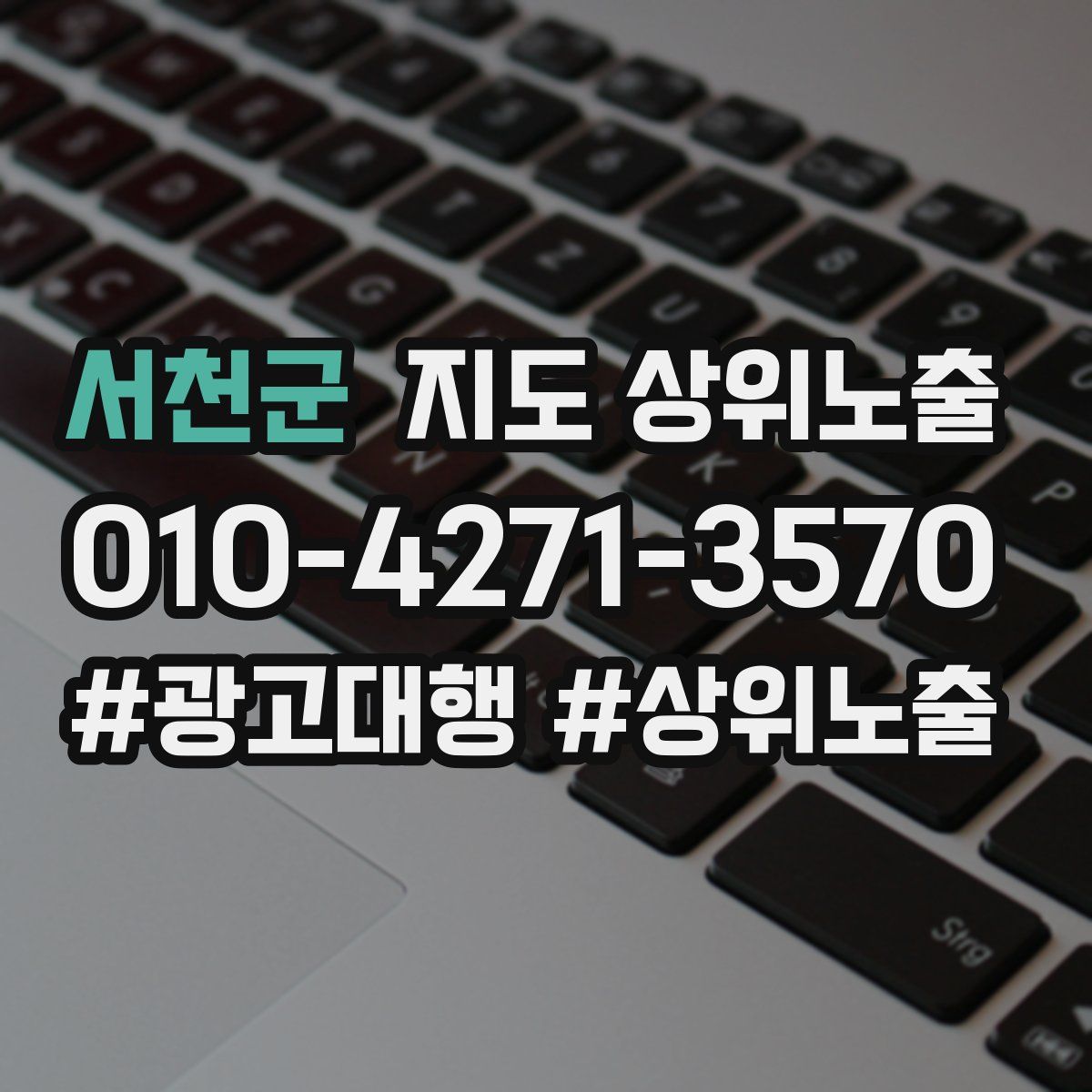 서천군 지도 상위 노출