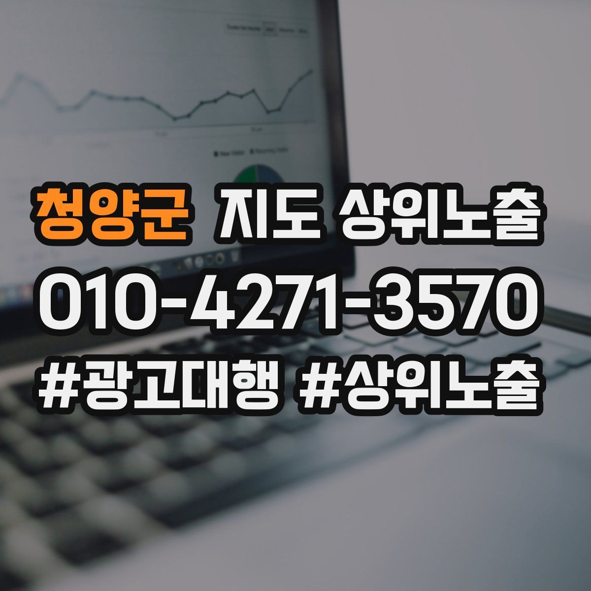 청양군 지도 상위 노출