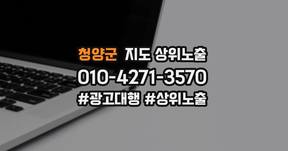 청양군 지도 상위 노출