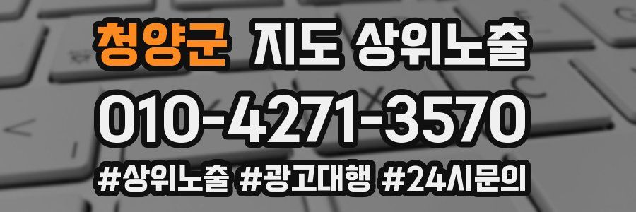 청양군 지도 상위 노출