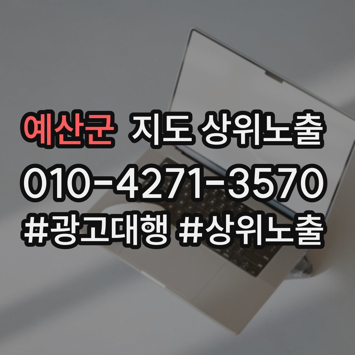예산군 지도 상위 노출