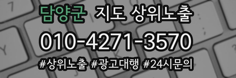 담양군 지도 상위 노출