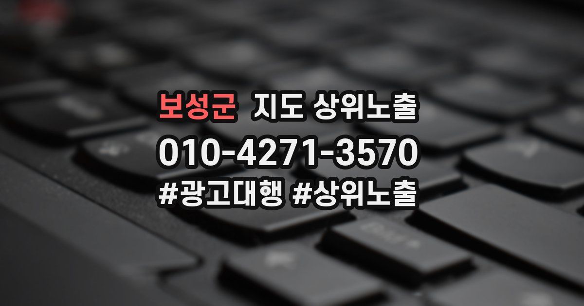 보성군 지도 상위 노출