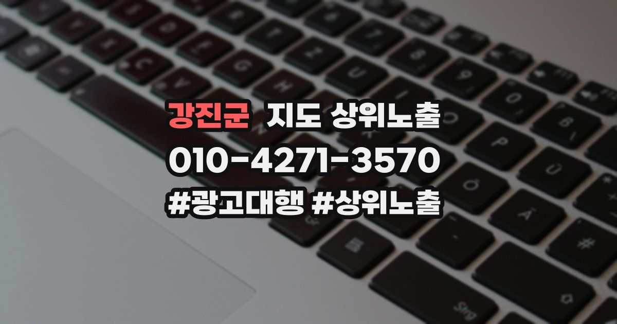 강진군 지도 상위 노출