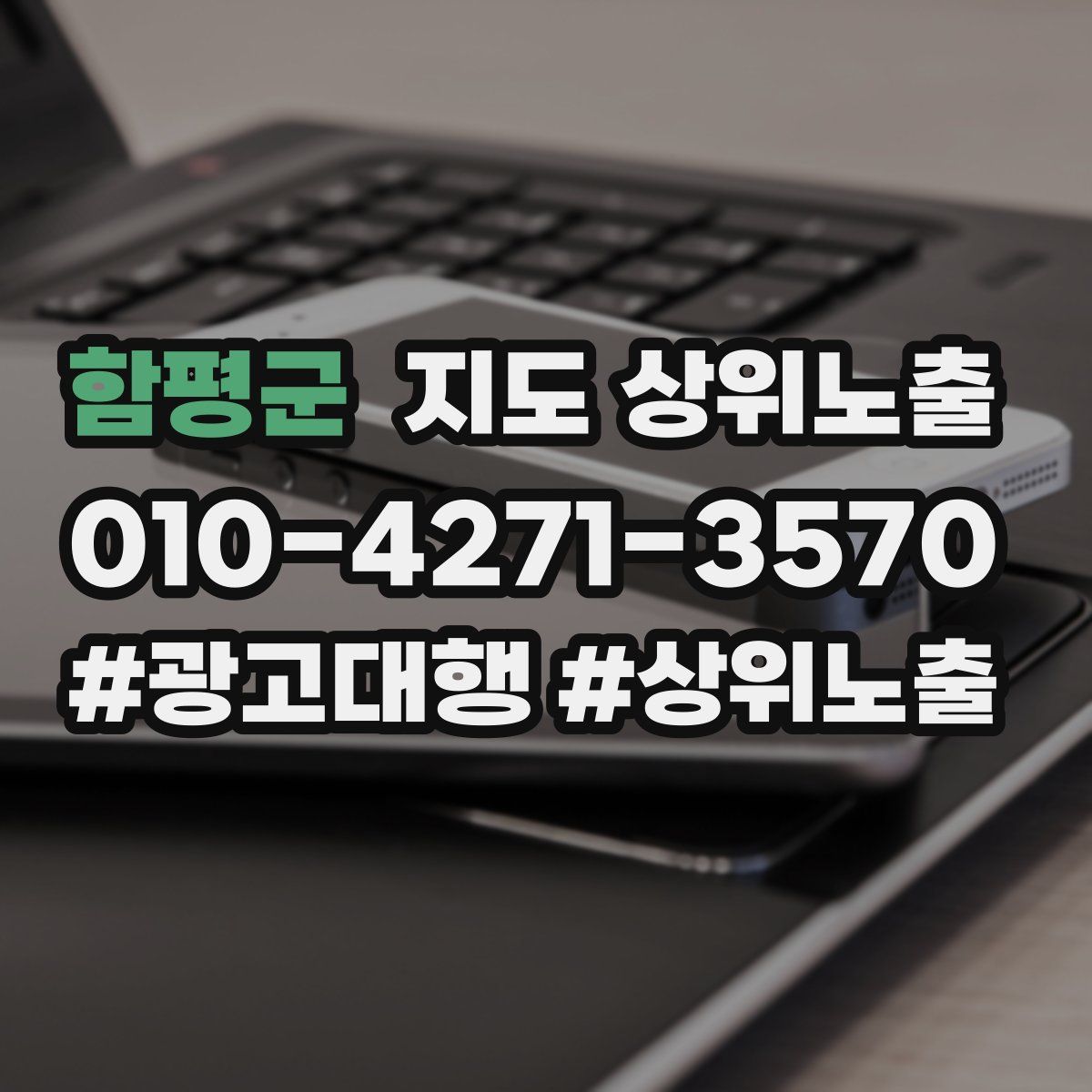 함평군 지도 상위 노출