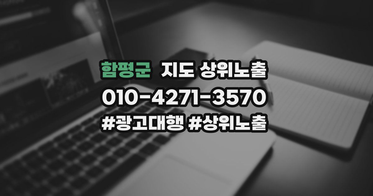 함평군 지도 상위 노출