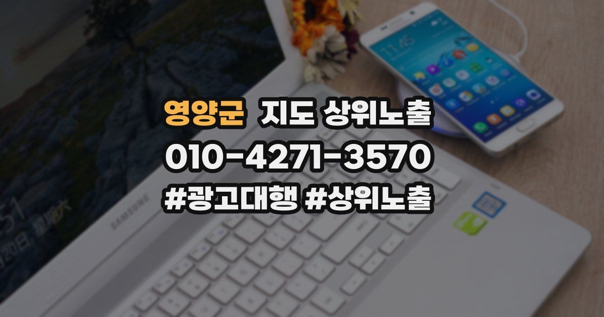 영양군 지도 상위 노출