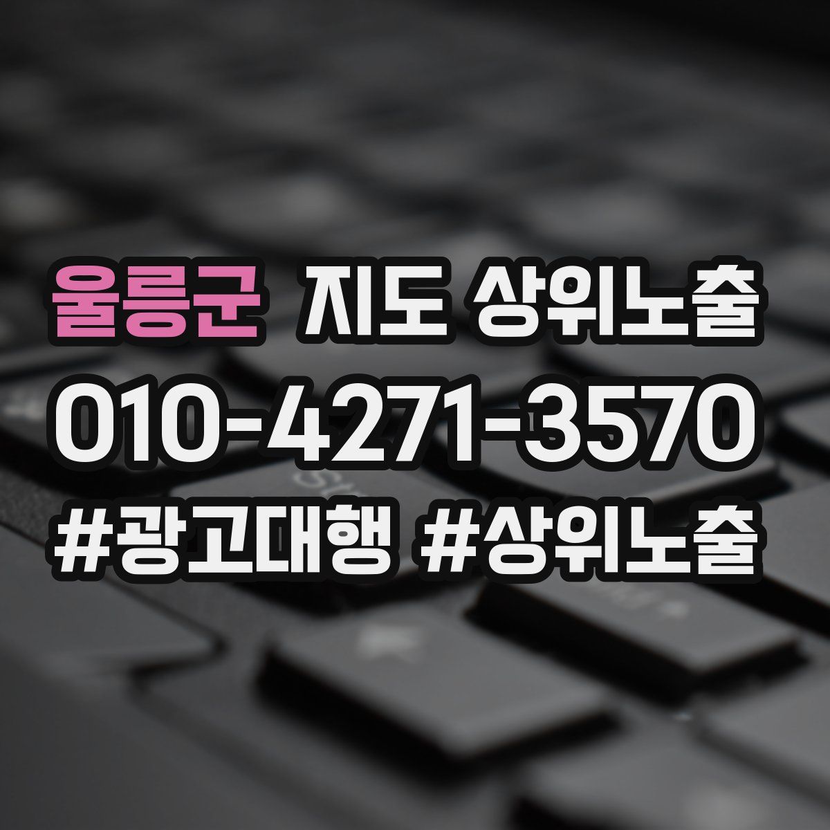 울릉군 지도 상위 노출