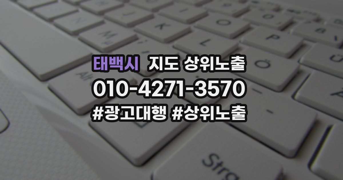 태백시 지도 상위 노출