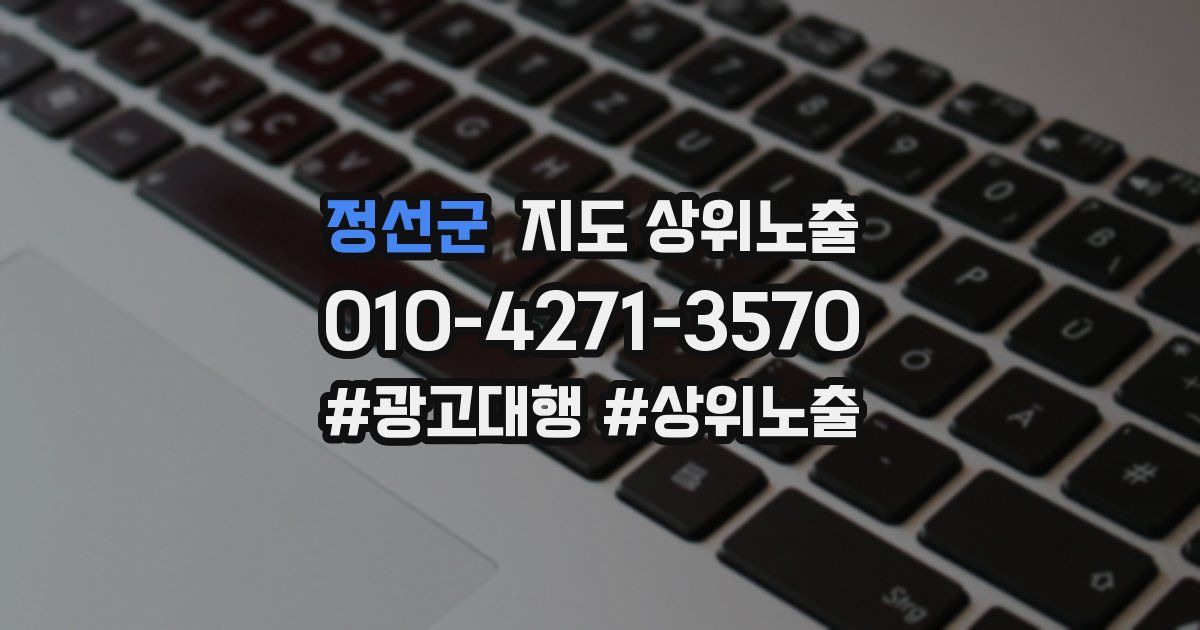 정선군 지도 상위 노출