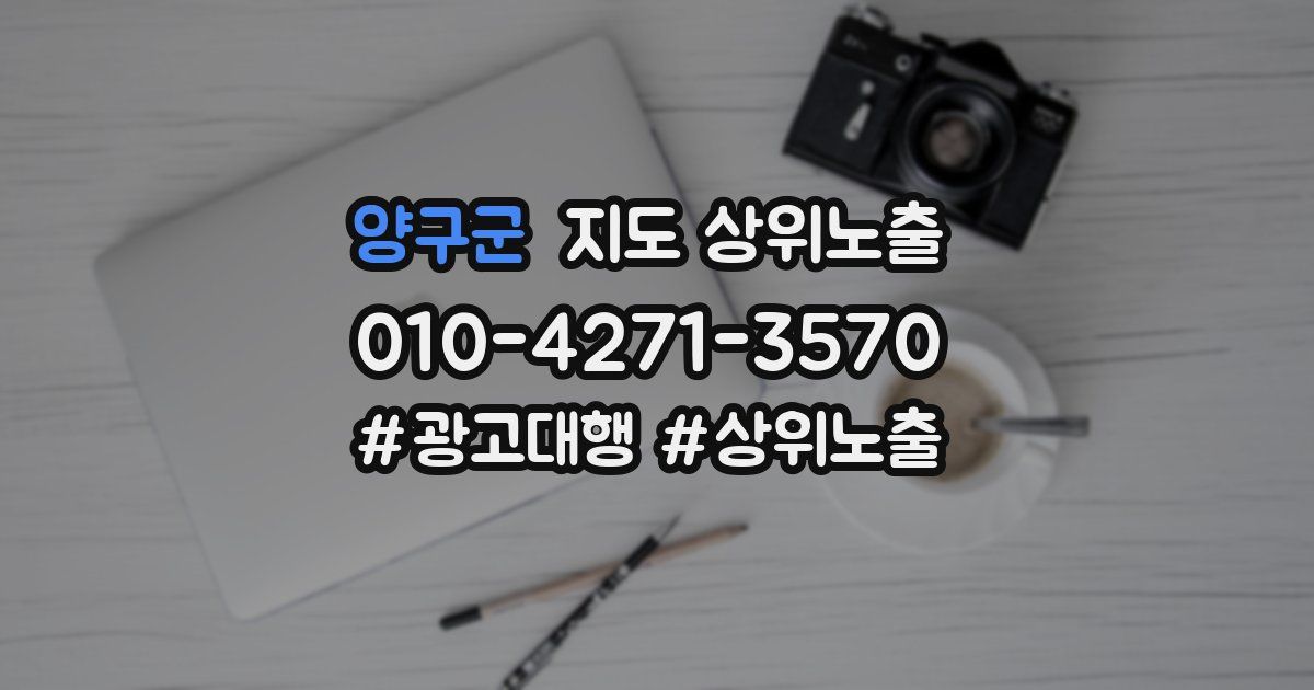 양구군 지도 상위 노출