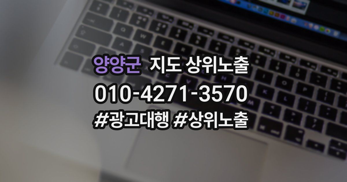 양양군 지도 상위 노출