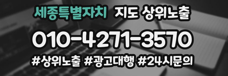 세종특별자치 지도 상위 노출