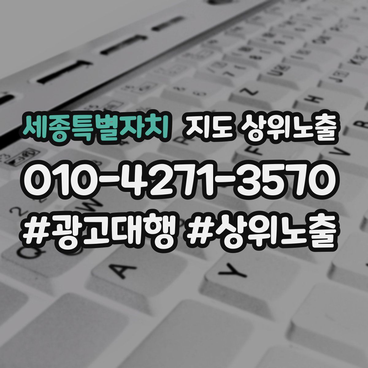세종특별자치 지도 상위 노출