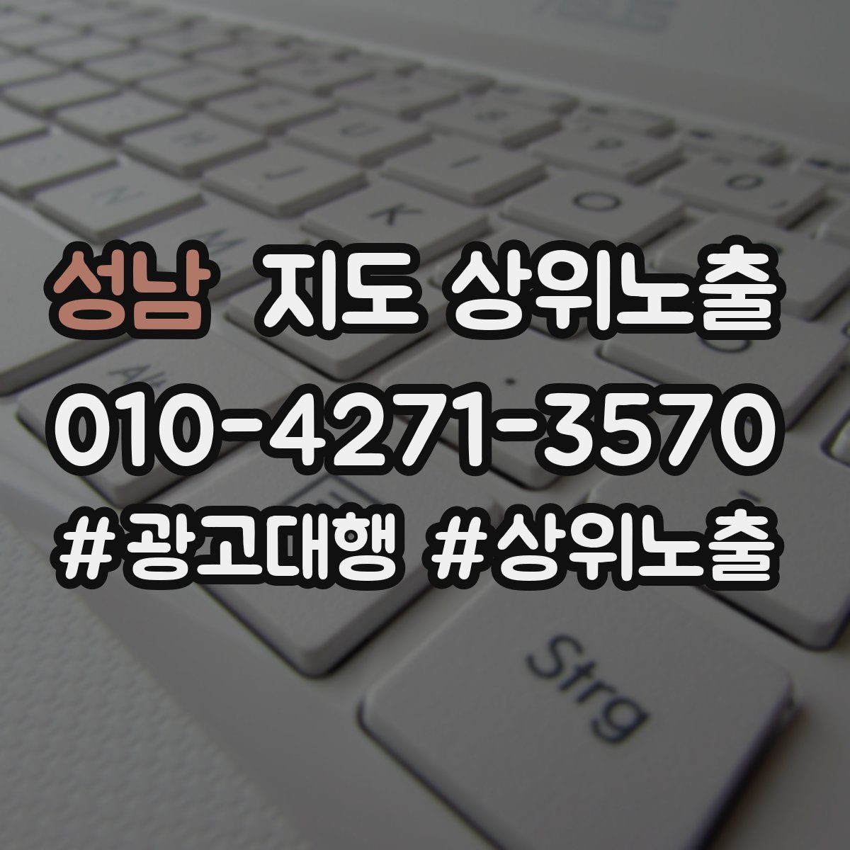 성남 지도 상위 노출