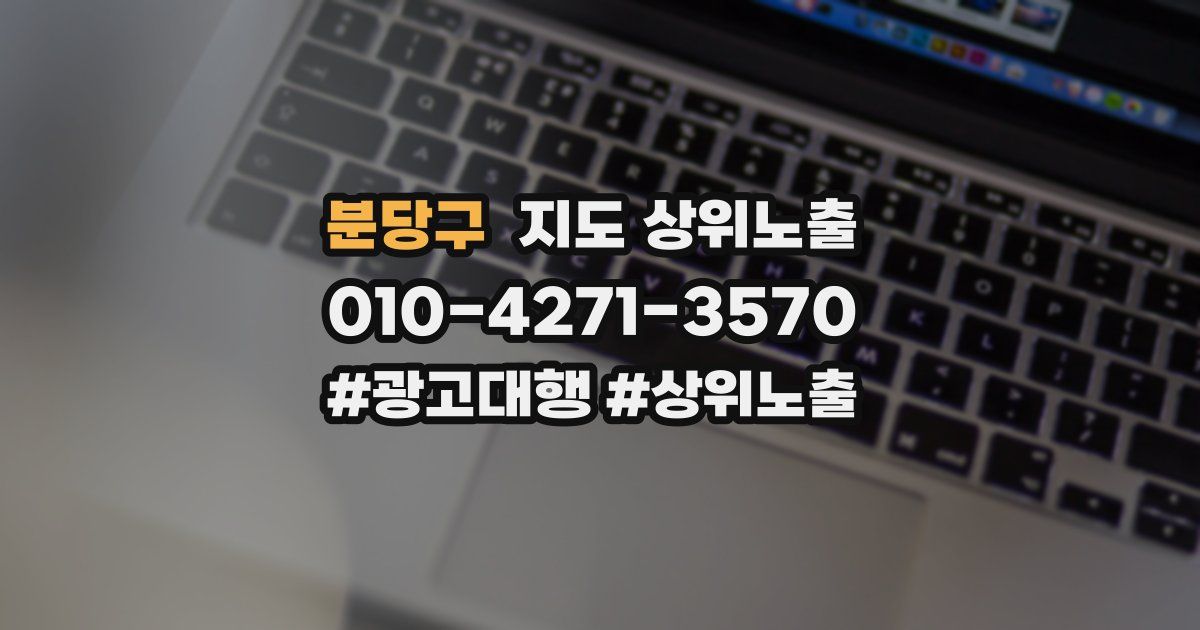 분당구 지도 상위 노출