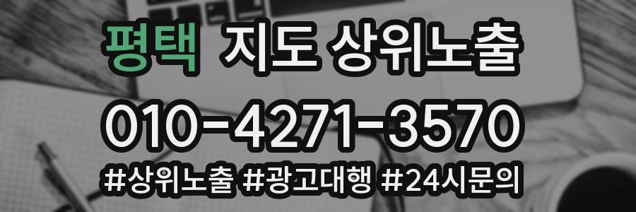 평택 지도 상위 노출