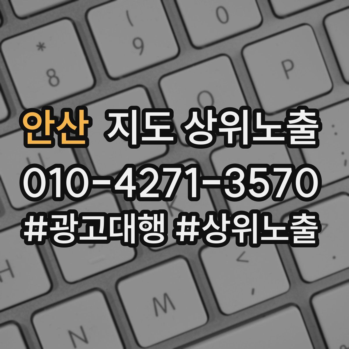 안산 지도 상위 노출