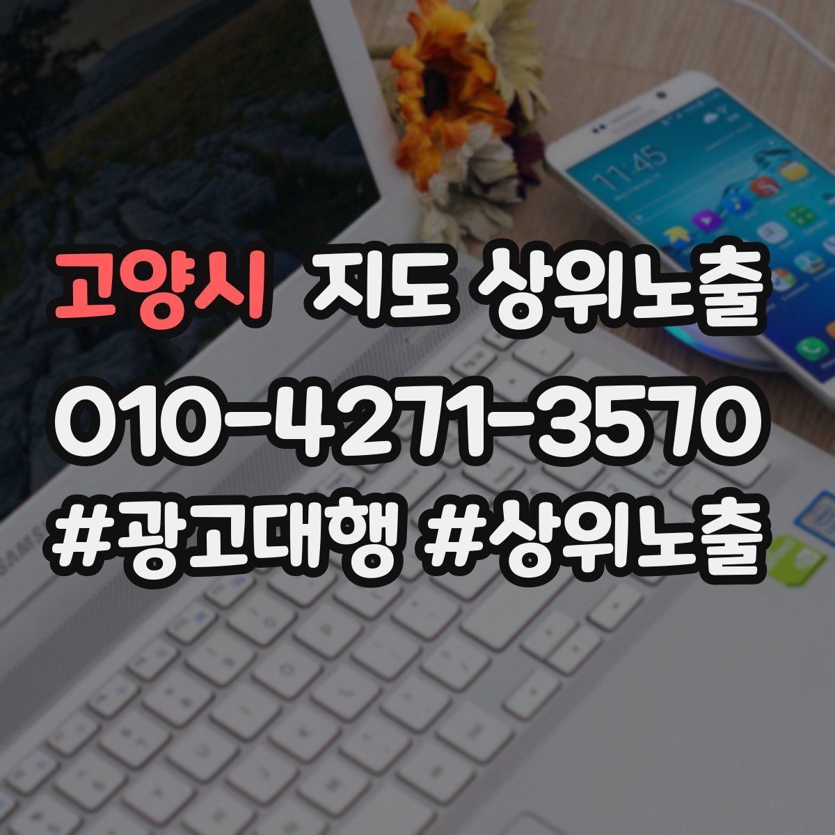 고양시 지도 상위 노출