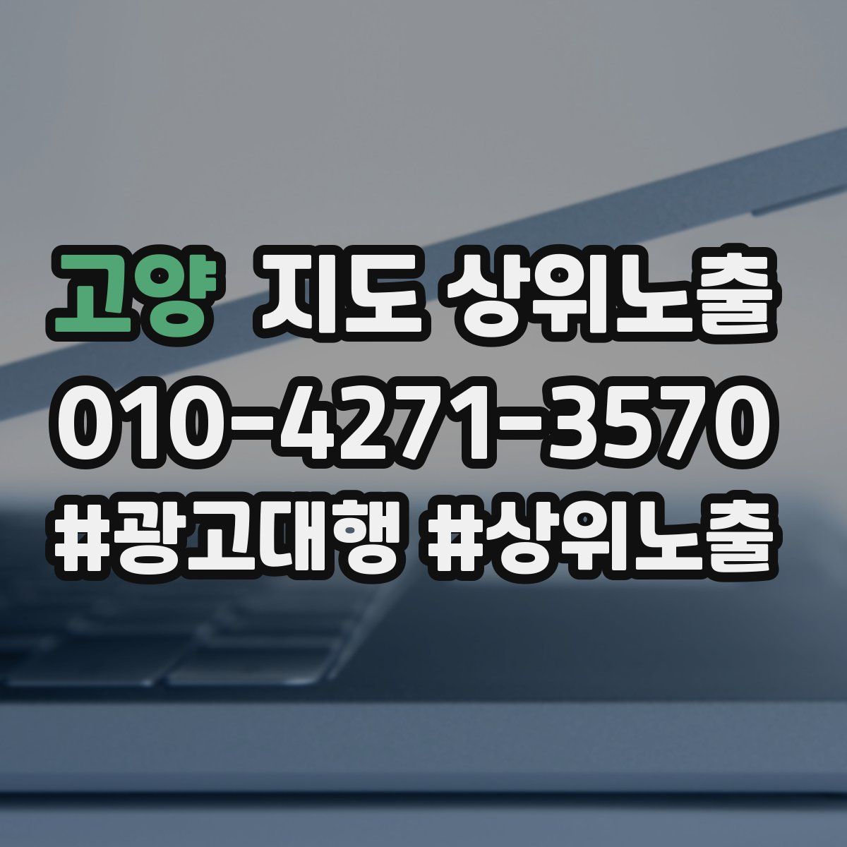 고양 지도 상위 노출
