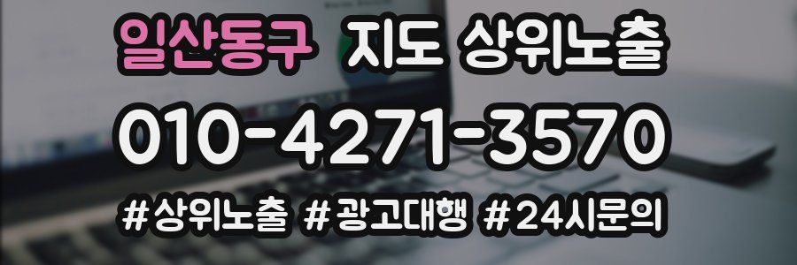 일산동구 지도 상위 노출