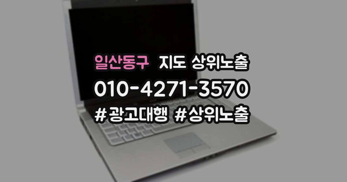 일산동구 지도 상위 노출