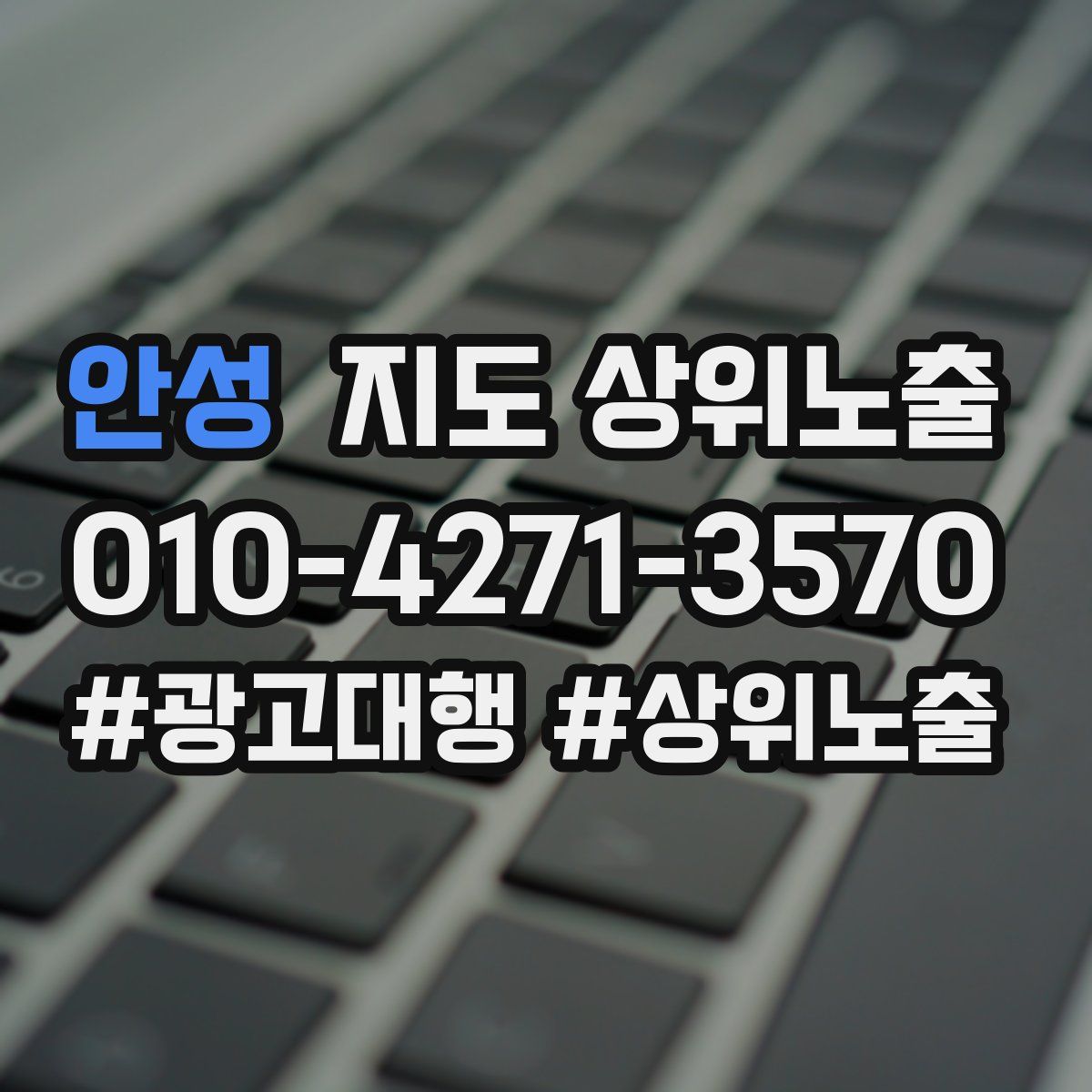 안성 지도 상위 노출