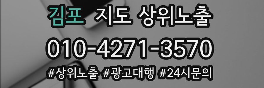 김포 지도 상위 노출
