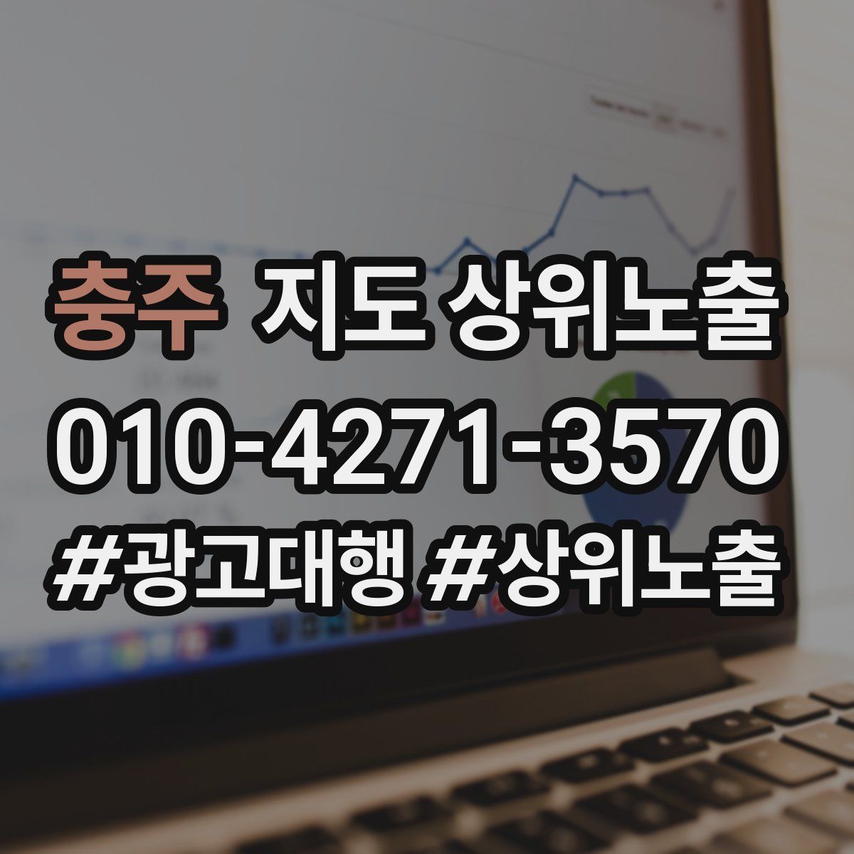 충주 지도 상위 노출