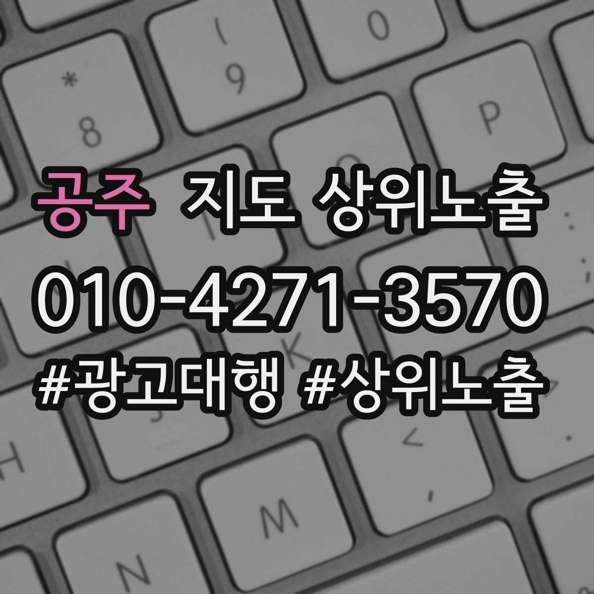 공주 지도 상위 노출