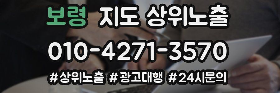보령 지도 상위 노출