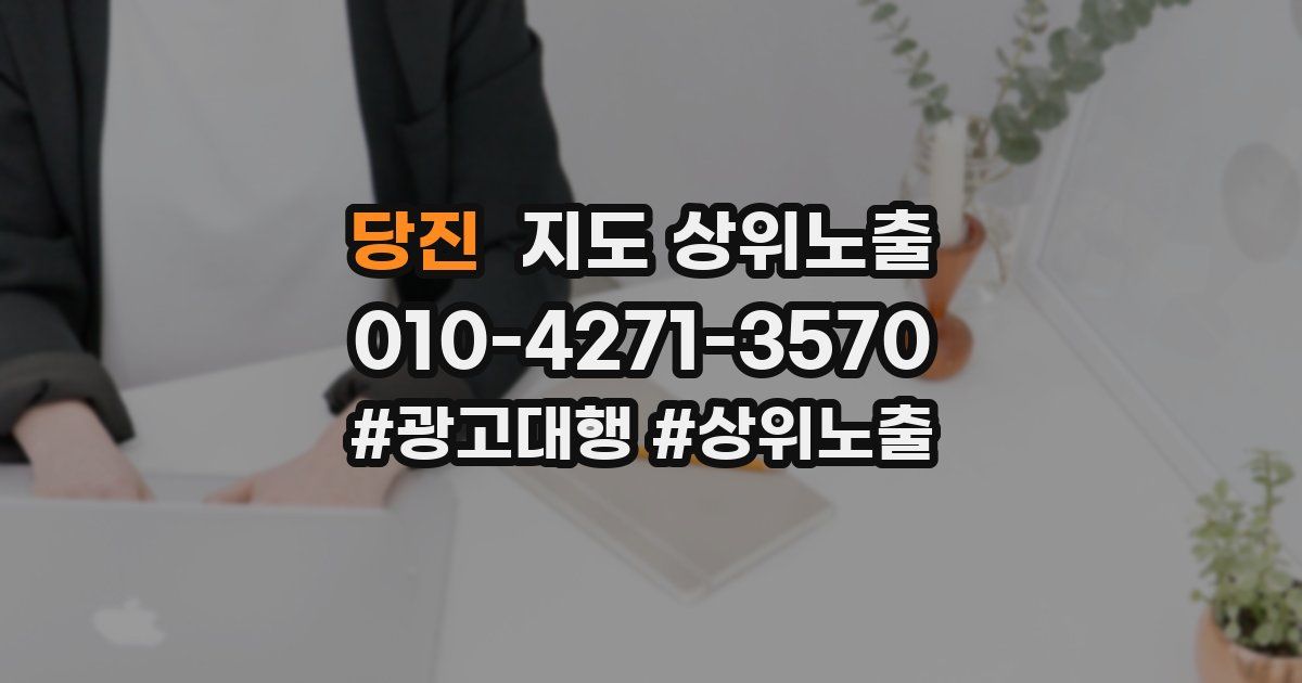 당진 지도 상위 노출