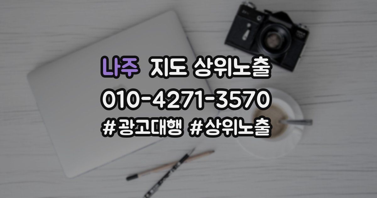 나주 지도 상위 노출