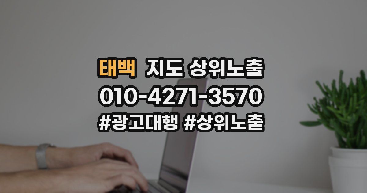 태백 지도 상위 노출