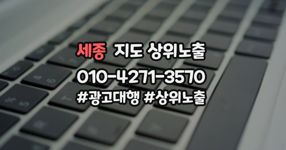 세종 지도 상위 노출