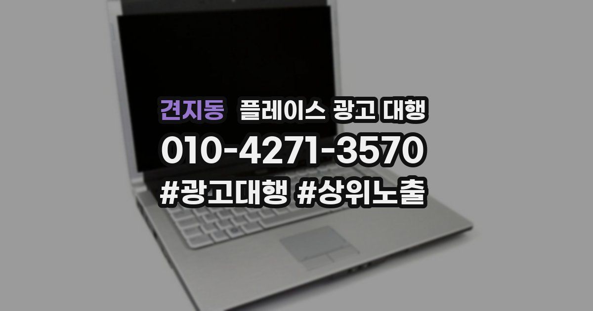견지동 플레이스 광고 대행
