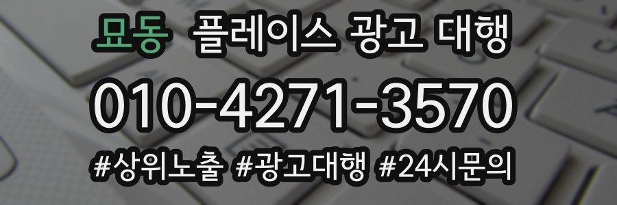 묘동 플레이스 광고 대행