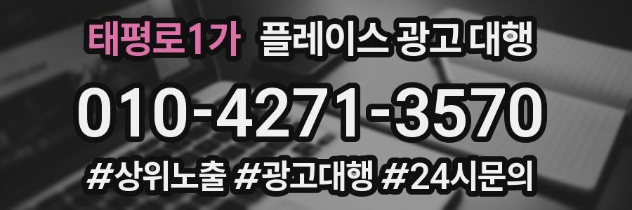 태평로1가 플레이스 광고 대행
